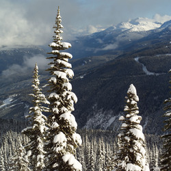 Similar image 8096842