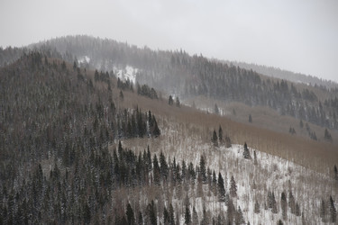 Similar image 8096848