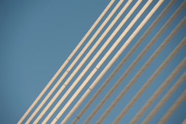 Similar image 8096854