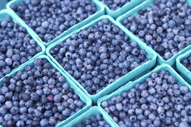 Similar image 8096860