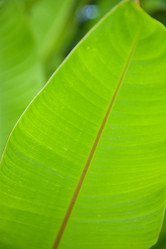 Similar image 8096864