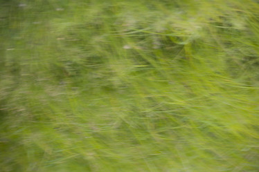 Similar image 8096871