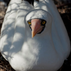 Similar image 8096881