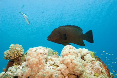 Similar image 8096894