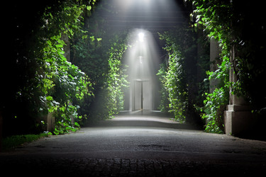 Similar image 8096897