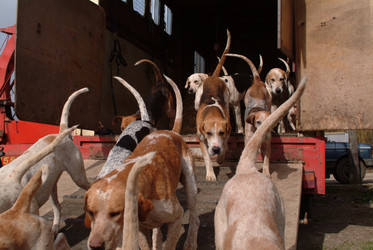 Similar image 8096899