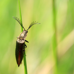 Similar image 8096909