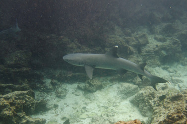 Similar image 8096911