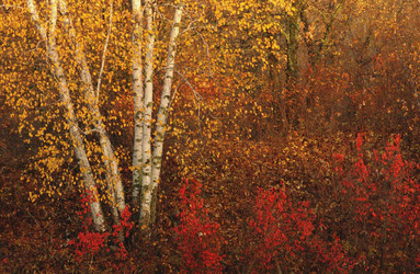 Similar image 8096912