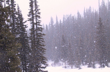 Similar image 8096913