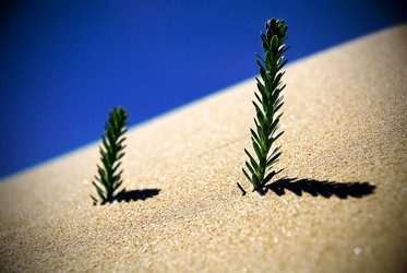 Similar image 8096917