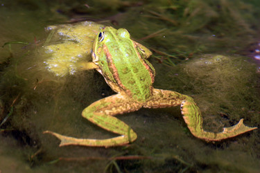 Similar image 8096928