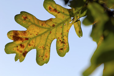 Similar image 8096932