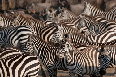 Similar image 8096936