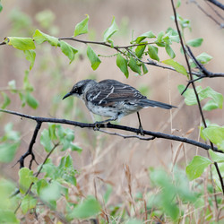 Similar image 8096937