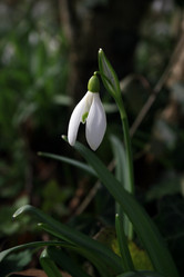 Similar image 8096942