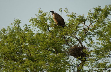 Similar image 8096943