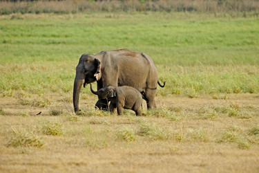 Similar image 8096946