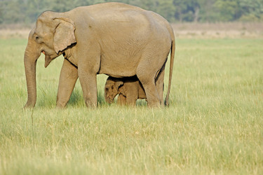 Similar image 8096947