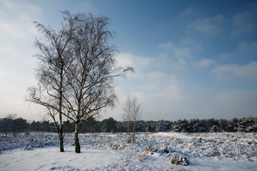 Similar image 8096952