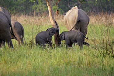 Similar image 8096957