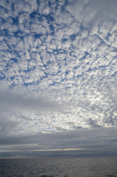 Similar image 8096964