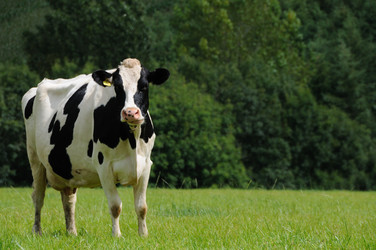 Similar image 8096968