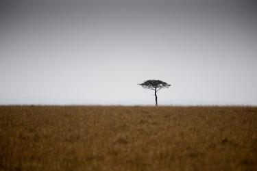 Similar image 8096972