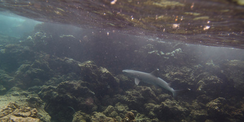 Similar image 8096976