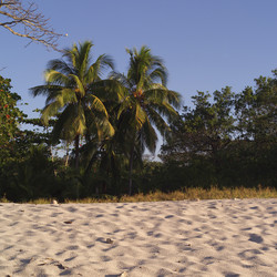 Similar image 8096978