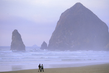 Similar image 8096983