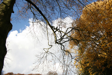 Similar image 8097004