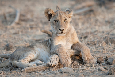 Similar image 8097005