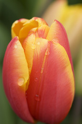 Similar image 8097020