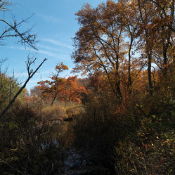 Similar image 8097039