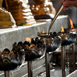 Similar image 8097043