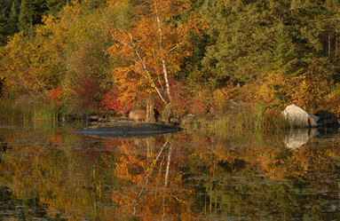 Similar image 8097046