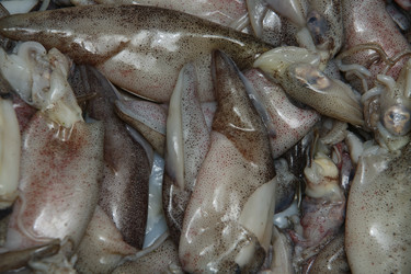 Similar image 8097048