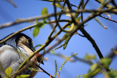 Similar image 8097054