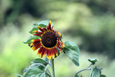 Similar image 8097062