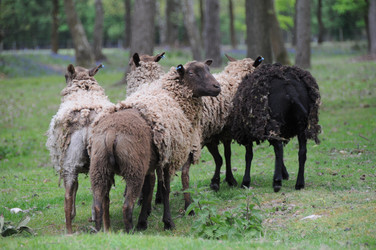 Similar image 8097063