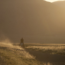 Similar image 8097070