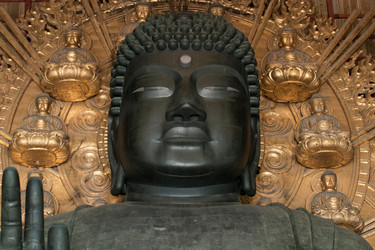 Similar image 8097083