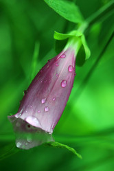 Similar image 8097084