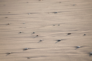 Similar image 8097095