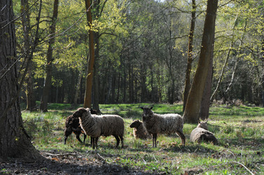 Similar image 8097097