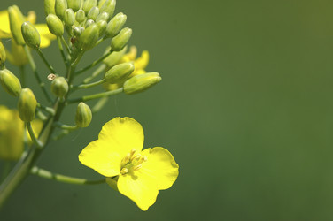 Similar image 8097100