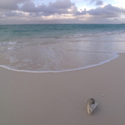 Similar image 8097103