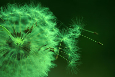 Similar image 8097105