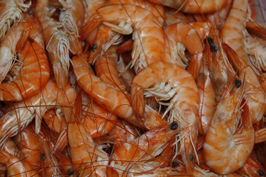 Similar image 8097111